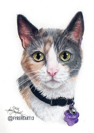 "Chloe" - Colored Pencil Pet Portrait - Commission