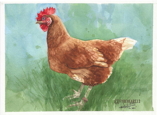 Chicken - Watercolor Painting. Gift for my cousin.