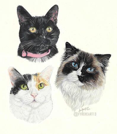"Kitties!" - Colored Pencil Pet Portraits - Commission