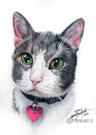 "Toby" - Colored Pencil Pet Portrait - Commission.