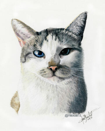 "Lilly" - Colored Pencil Pet Portrait - Commission