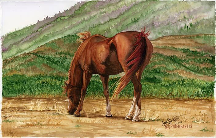 "Tanzen" - Watercolor memorial painting. My horse, Tanzen.