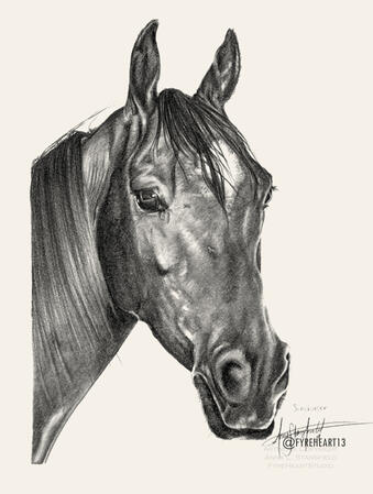 "Sunchaser" - Equine Portrait of a friend's horse. Graphite on paper.